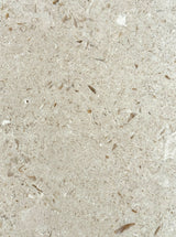 Shell Stone Limestone