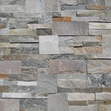 Moroccan Mushroom (Group 4)