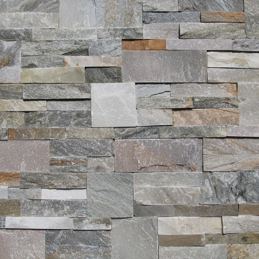 Moroccan Mushroom (Group 4)