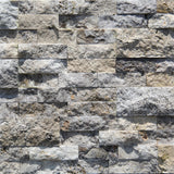 Nimbus Silver Ledger (Group 4)