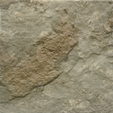 Pacifico Noce (Group 3)