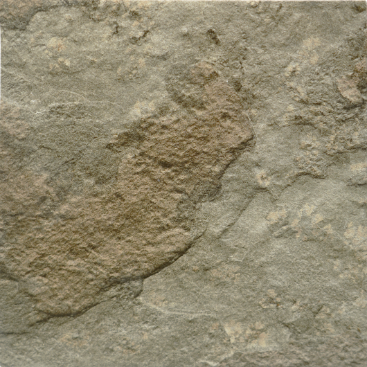 Pacifico Noce (Group 3)