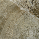 Pacifico Noce (Group 3)