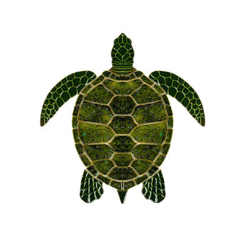 Sea Turtle - Green 18