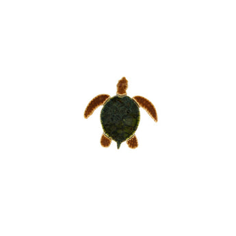 Sea Turtle - Green/Brown 5