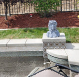 Maioliche Venice (Group 4)