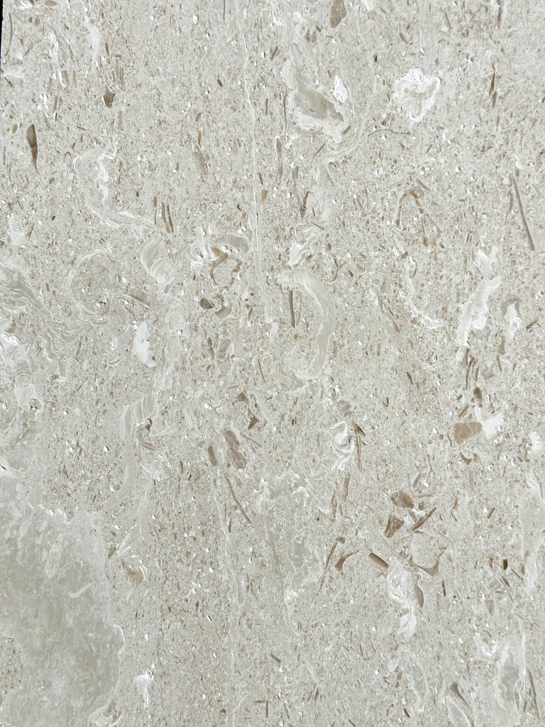 Shell Stone Limestone – Ontario Pool Tile