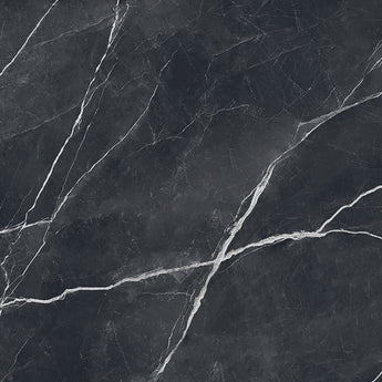 Verona Nero Antico 24x48 (Group 4) Coming Soon!