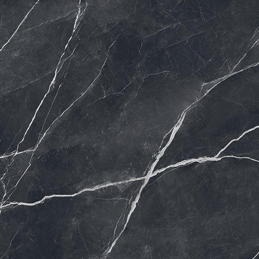 Verona Nero Antico 24x48 (Group 4) Coming Soon!