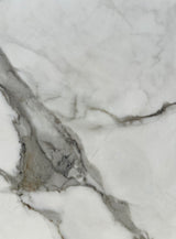 Royal White Calacatta 24x48 (Group 4) Coming Soon!