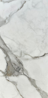 Royal White Calacatta 24x48 (Group 4) Coming Soon!