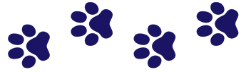 Paw Print Step Markers