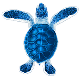 Baby Hatchling Turtle-A Blue Porc-5"