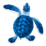 Baby Hatchling Turtle-B Blue Porc-5"