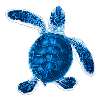 Baby Hatchling Turtle-B Blue Porc-5