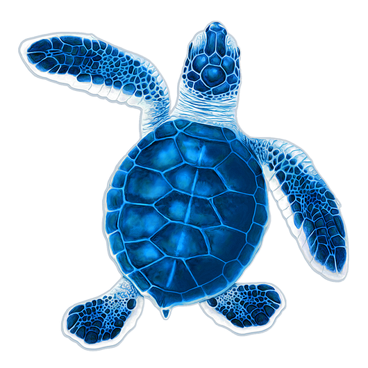 Baby Hatchling Turtle-B Blue Porc-5