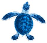 Baby Hatchling Turtle-C Blue Porc-5"
