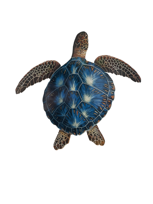 Blue/Brown Porc Turtle -18