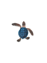Blue/Brown Porc-Hatchling Turtle-B 5"