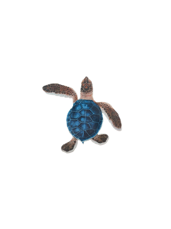 Blue/Brown Porc-Hatchling Turtle-B 5
