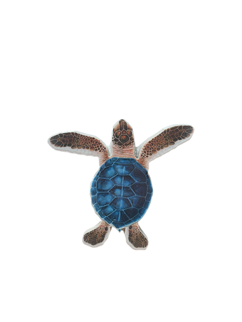 Blue/Brown Porc-Hatchling Turtle-A 5
