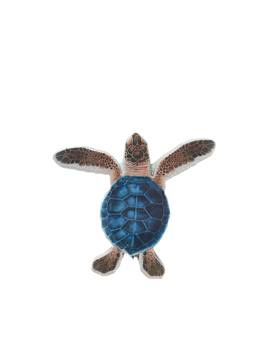 Blue/Brown Porc-Hatchling Turtle-A 5