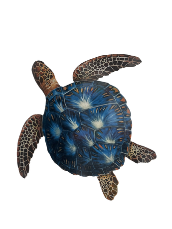 Blue/Brown Porc Turtle -30