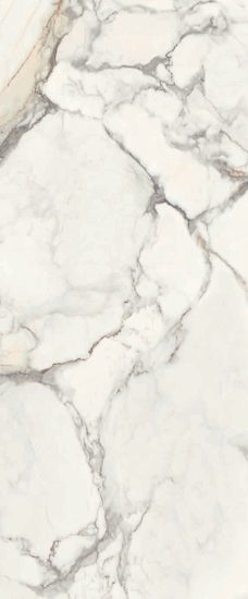 Royal White Calacatta 24x48 (Group 4) Coming Soon!