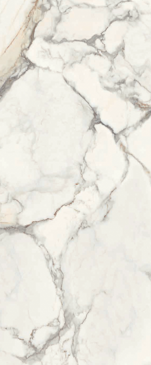 Royal White Calacatta 24x48 (Group 4) Coming Soon!