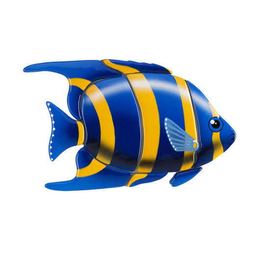 Angelfish Blue