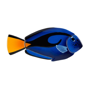 Pacific Blue Tang