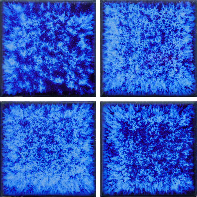 CL-335-WEB_800x.jpg?v=1643923598