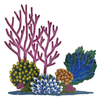 Coral Reef