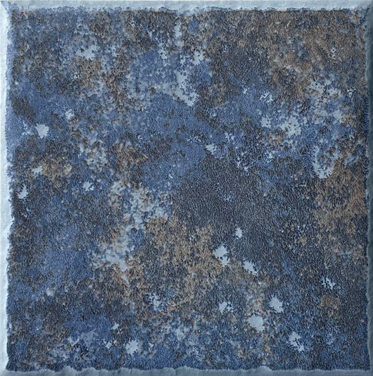 TH-645 (50 Sqft Available)