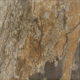 Yukon Brown (Group 3)