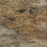 Yukon Brown (Group 3)