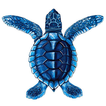 Baby Turtle-A Blue Porc-5