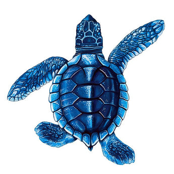 Baby Turtle-B Blue Porc-5