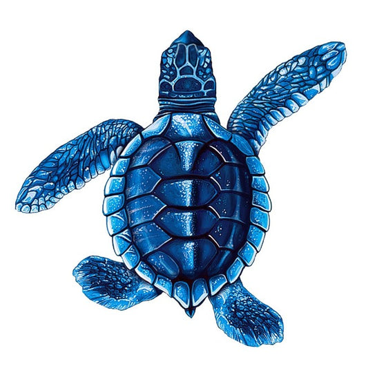 Baby Turtle-B Blue Porc-5