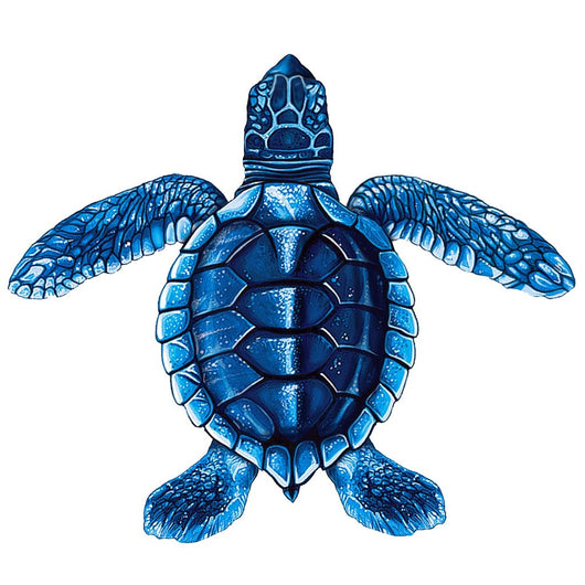 Baby Turtle-C Blue Porc-5