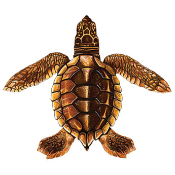 Baby Turtle-C Brown Porc-5