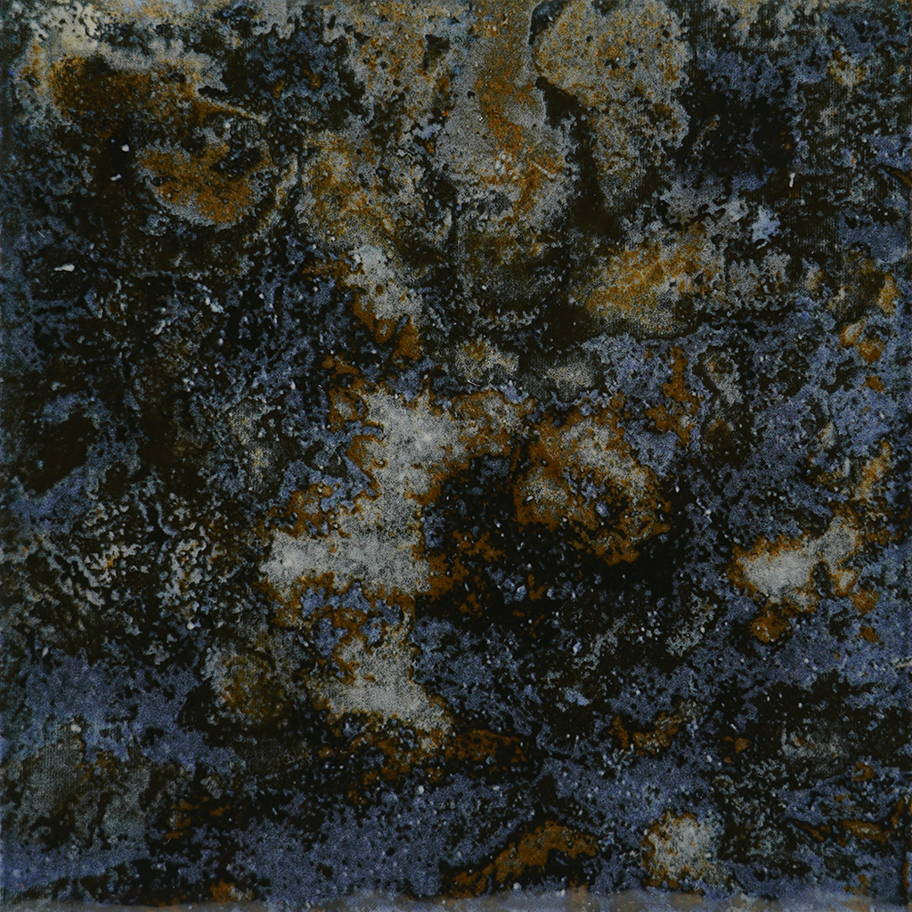 Shells Black (Group 3) – Ontario Pool Tile