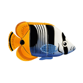 Saddled Butterflyfish