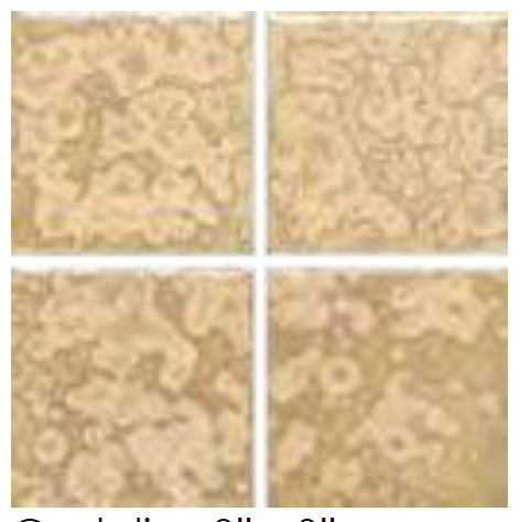 CR-488 Tahitian Sun (875 sqft)