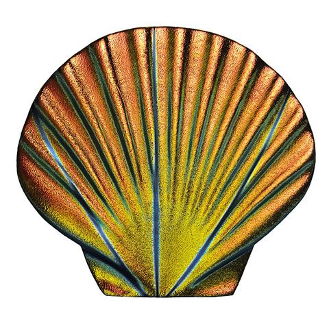 Fusion Seashell Rainbow