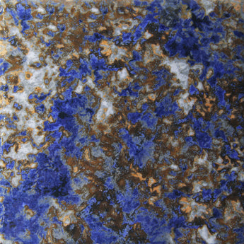 Wave Coral (Group 3)