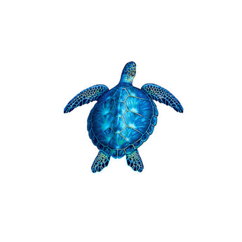 Blue Porc Turtle -10