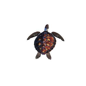 Brown Porc Turtle -10