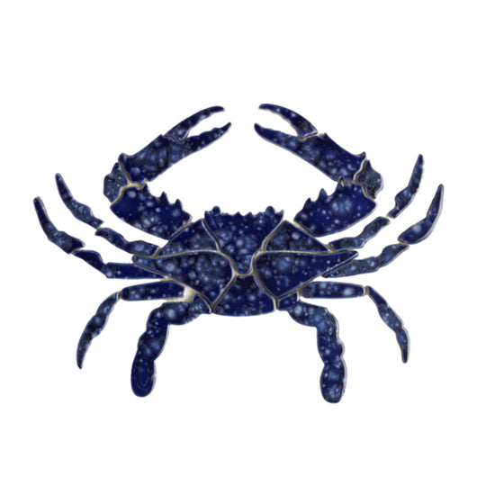 Blue Crab 11