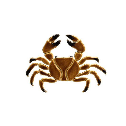 Brown Crab 7
